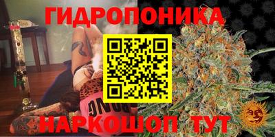 индика Тулун