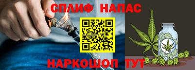 индика Тулун