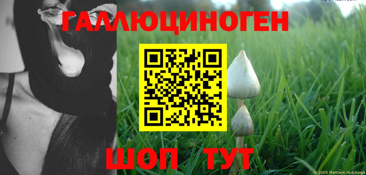 Псилоцибиновые грибы ЛСД  Псилоцибиновые грибы мухоморы  Вход с VPN  Бахчисарай 